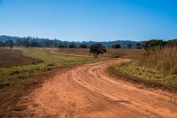 Dirt Driveway Repair in Auburn