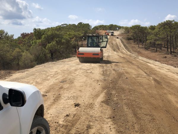 Driveway Grading in Auburn