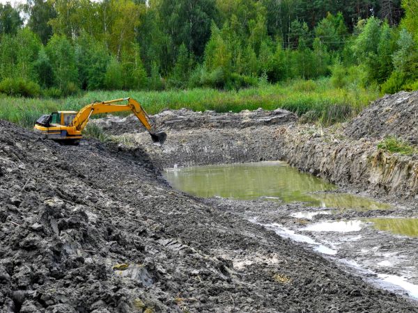 Fish Pond Digging in Auburn