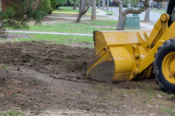 Backfilling Service in Auburn