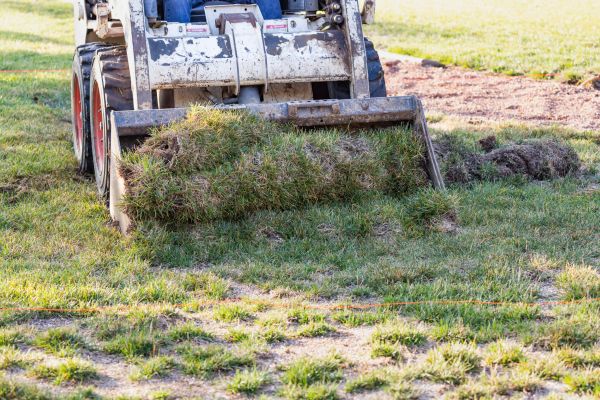 Landscape Leveling in Auburn
