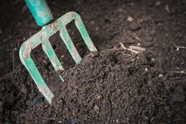 Cost of Topsoil Spreading in Auburn