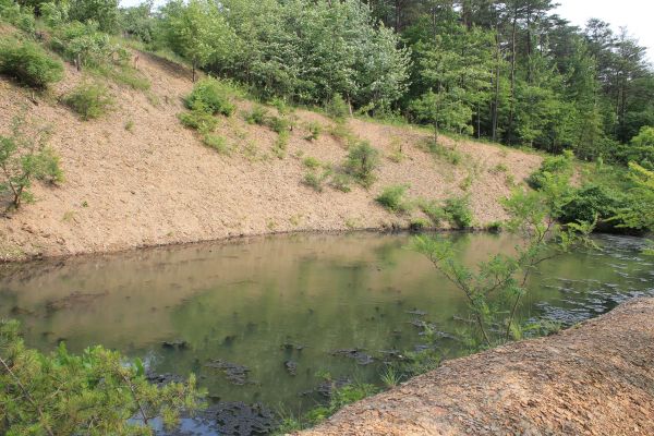 Pond Erosion Repair in Auburn
