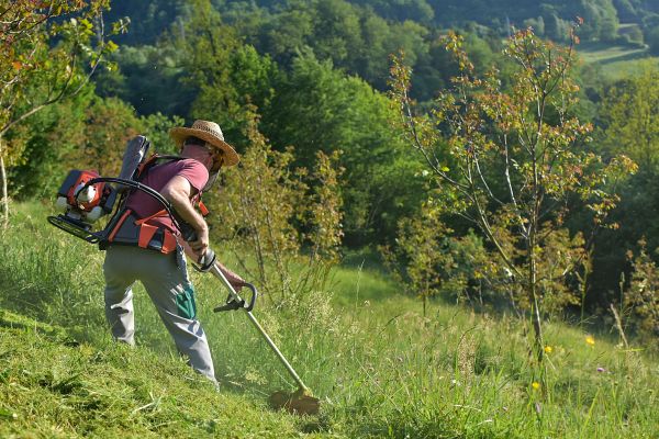 Slope Trimming in Auburn